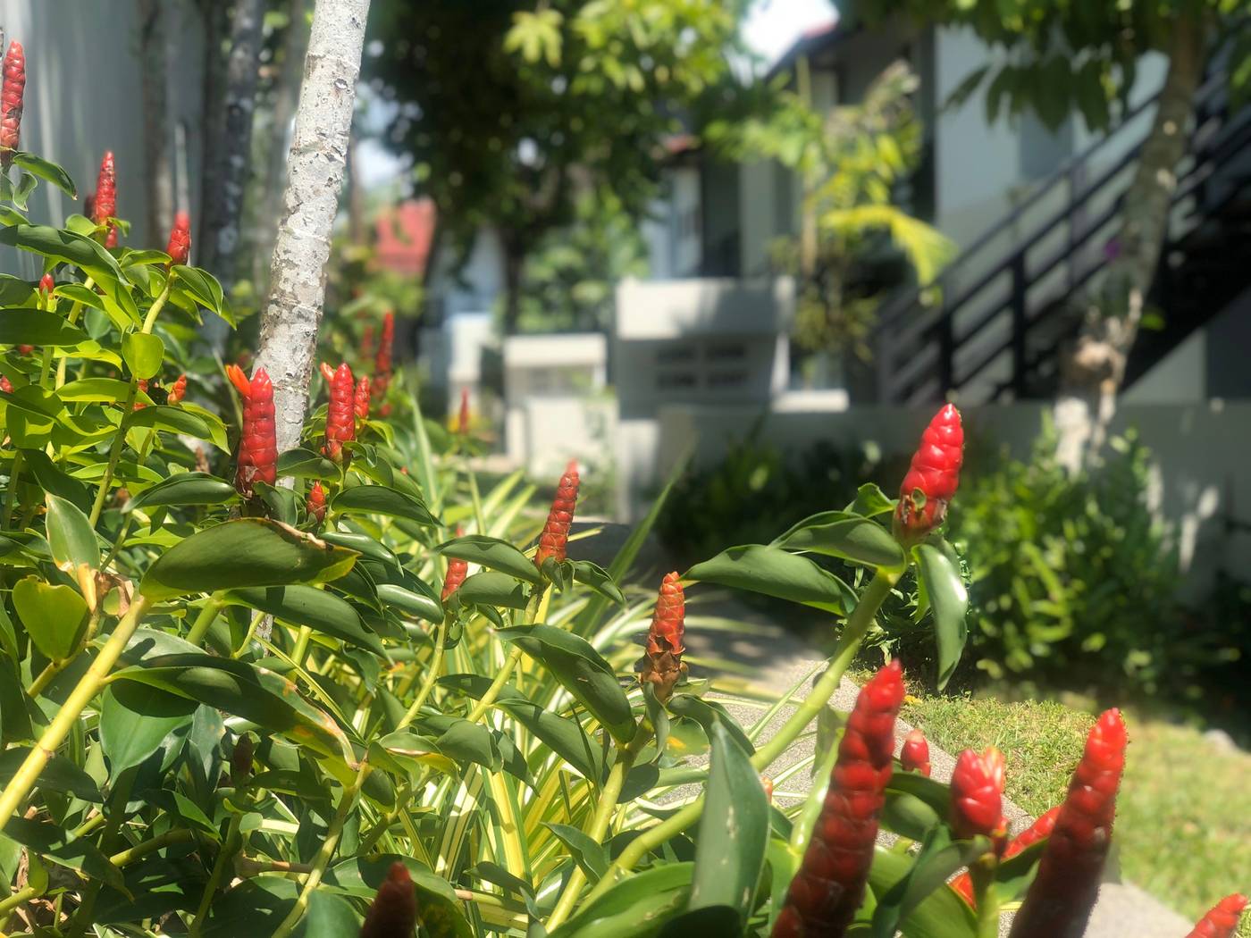 Palm Galleria Resort-SHA Plus-Thailand-KHAO LAK-General view-2