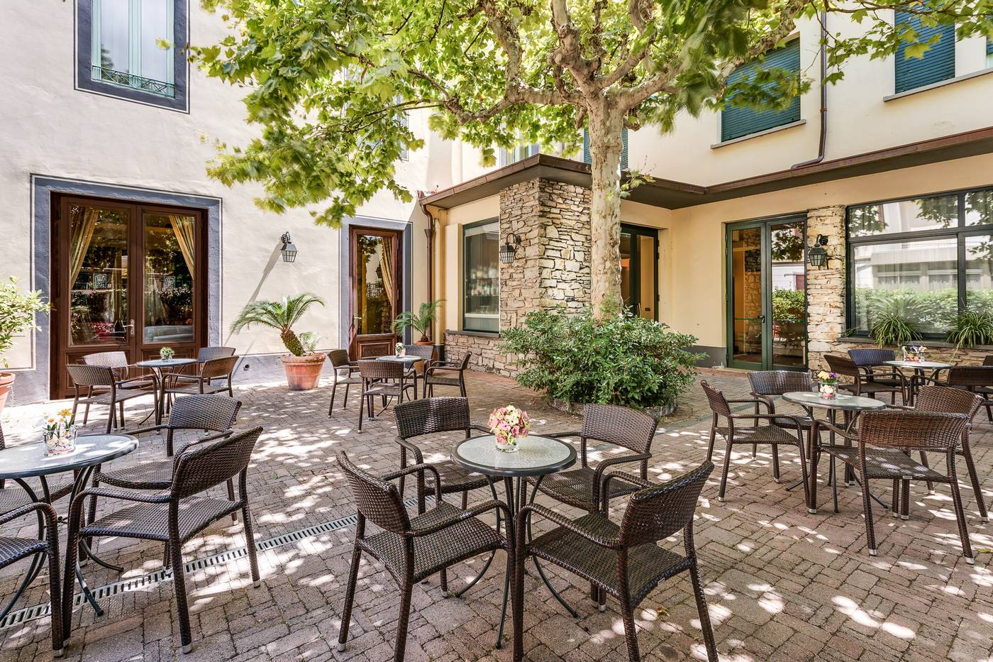 Da-Vinci-General-view-49