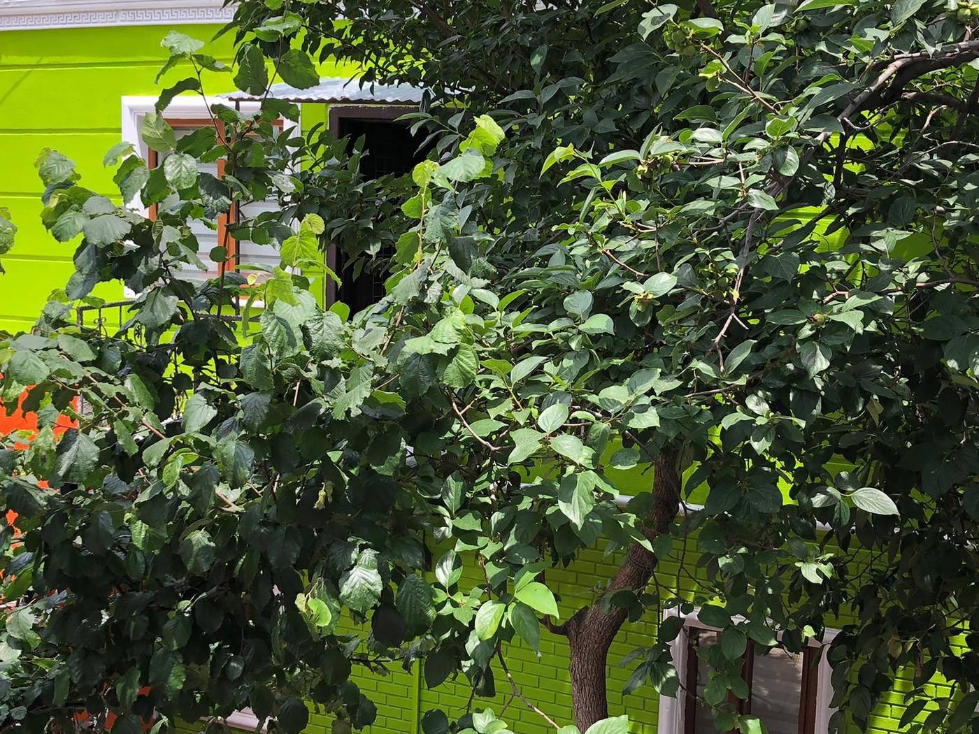 The-Zanadu-Istanbul-Room-24