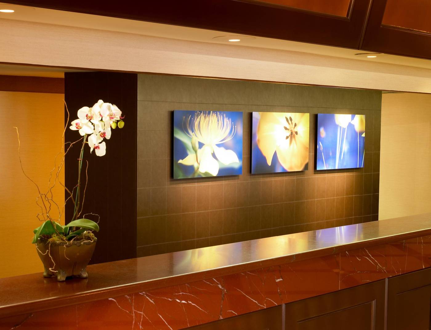 Sheraton-Park-Hotel-at-the-Anaheim-Resort-General-view-24