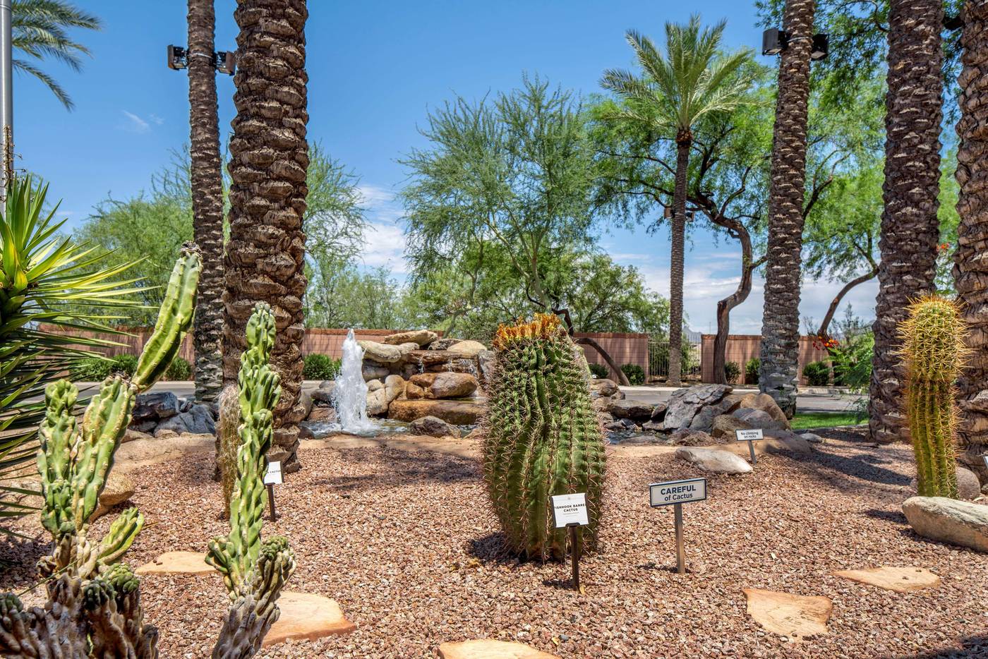 Hilton Vacation Club Scottsdale Villa Mirage-United States-SCOTTSDALE-General view-9