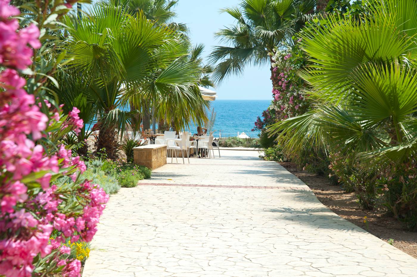 Akti Beach Village Resort in Paphos, Cyprus