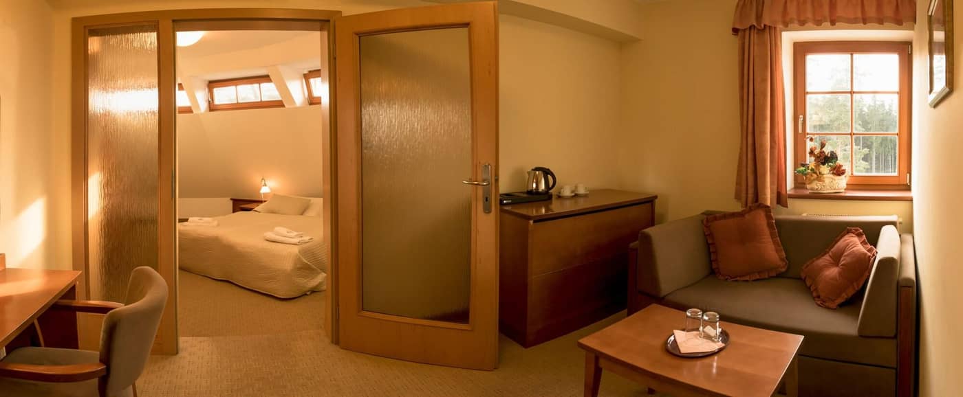 Hotel Vitkova Hora-Czech Republic-KARLOVY VARY-Room-10
