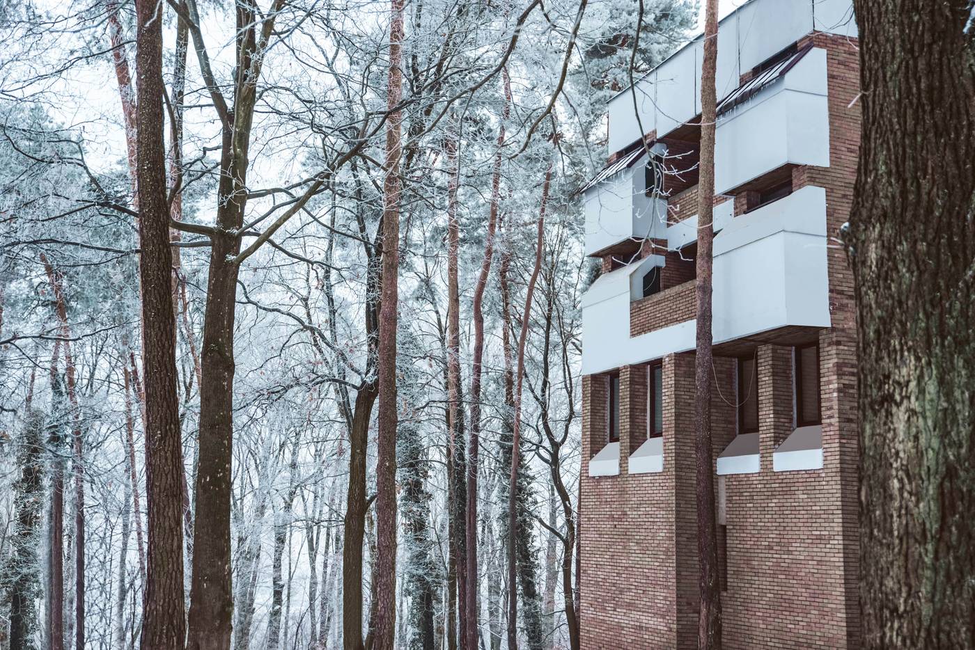 Forest-Hotel-General-view-9