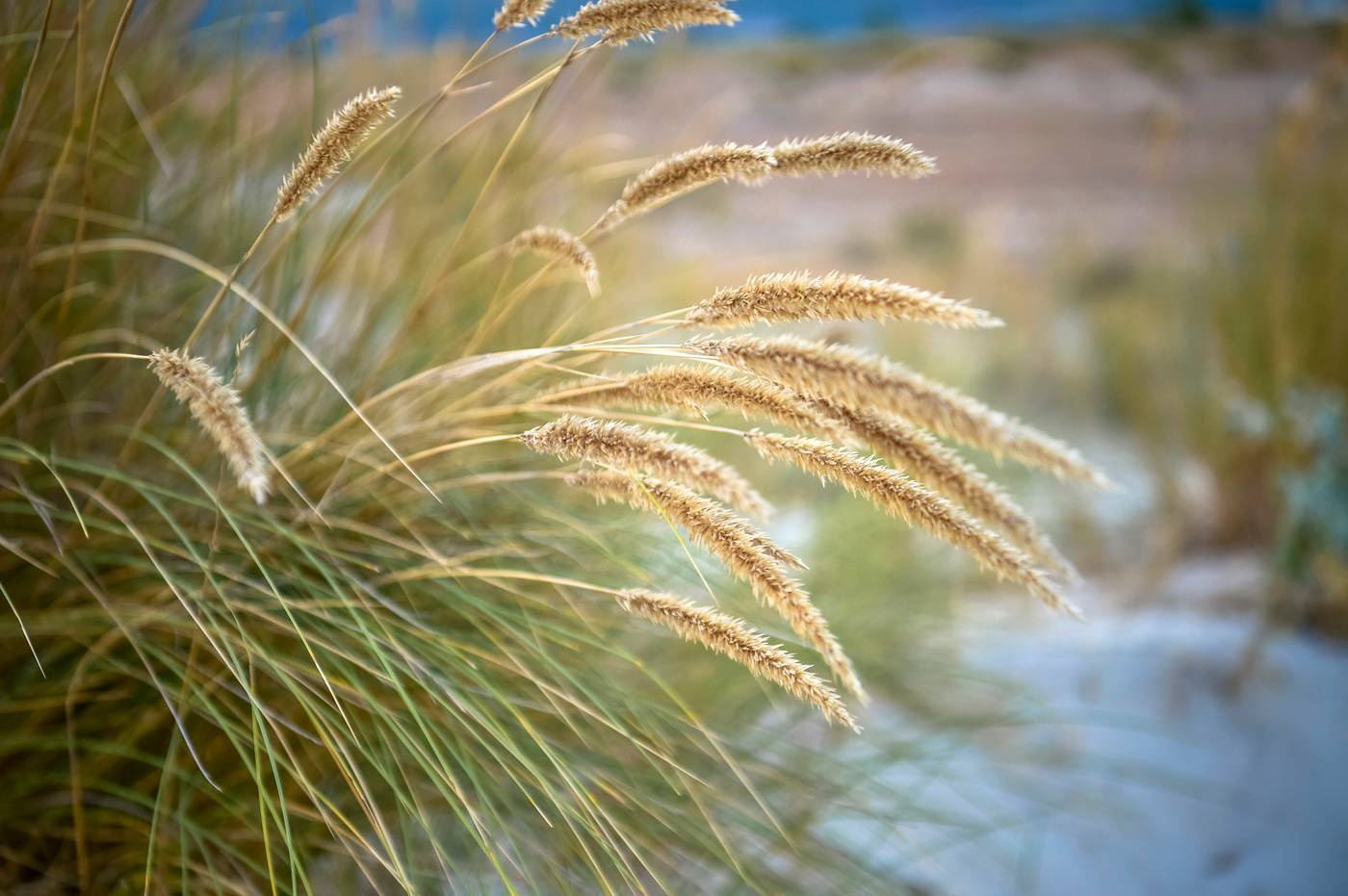 The-Editory-By-The-Sea-Troia-Hotel-General-view-53