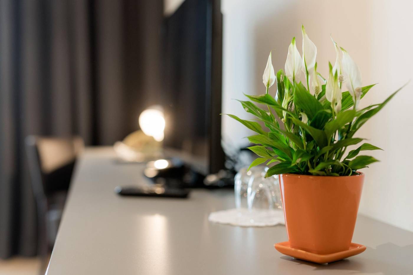 Hotel Florjanckov Hram-Slovenia-LJUBLJANA-Lobby-5