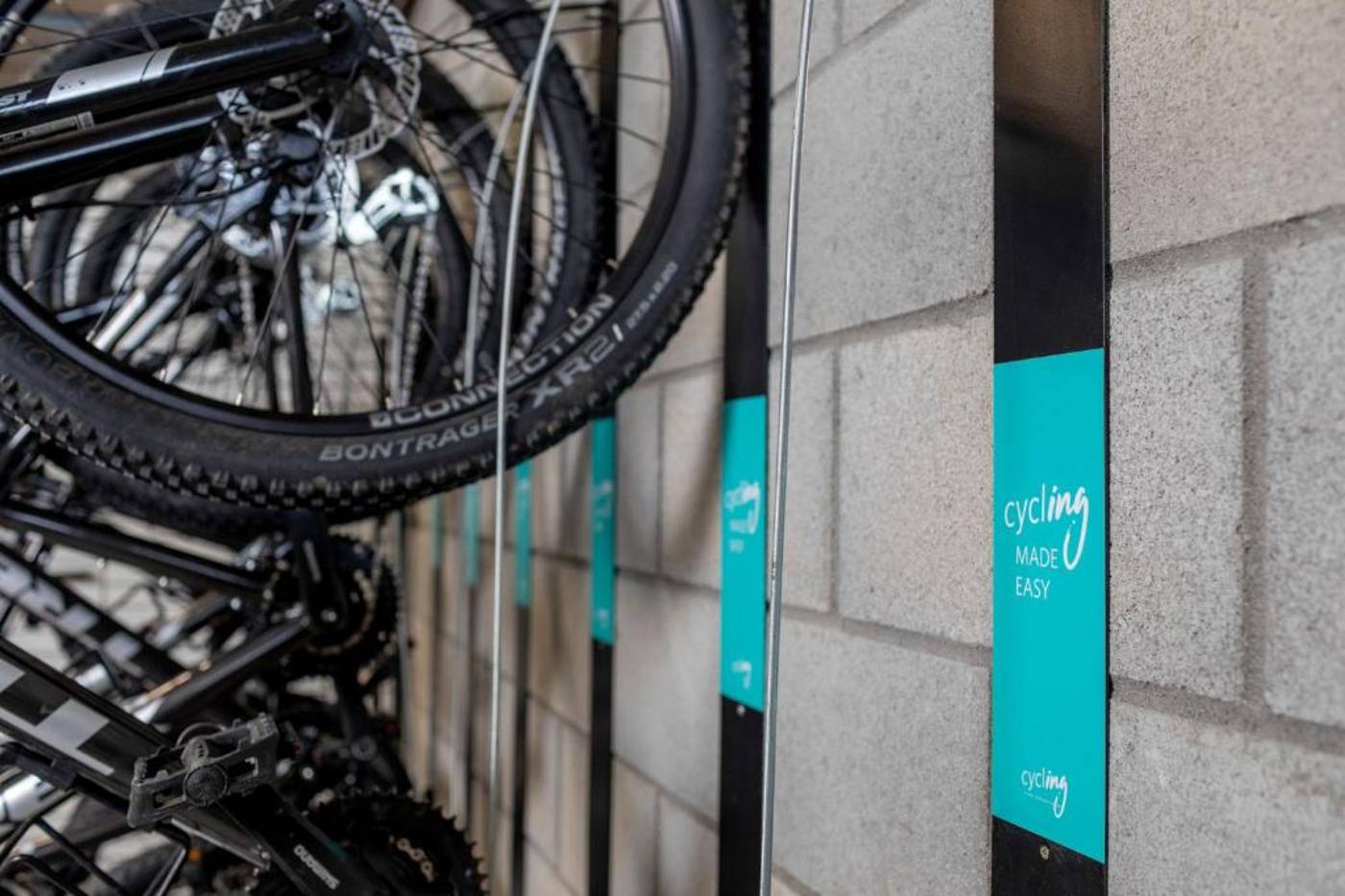 Lavida-Sports-and-Entertainment-22