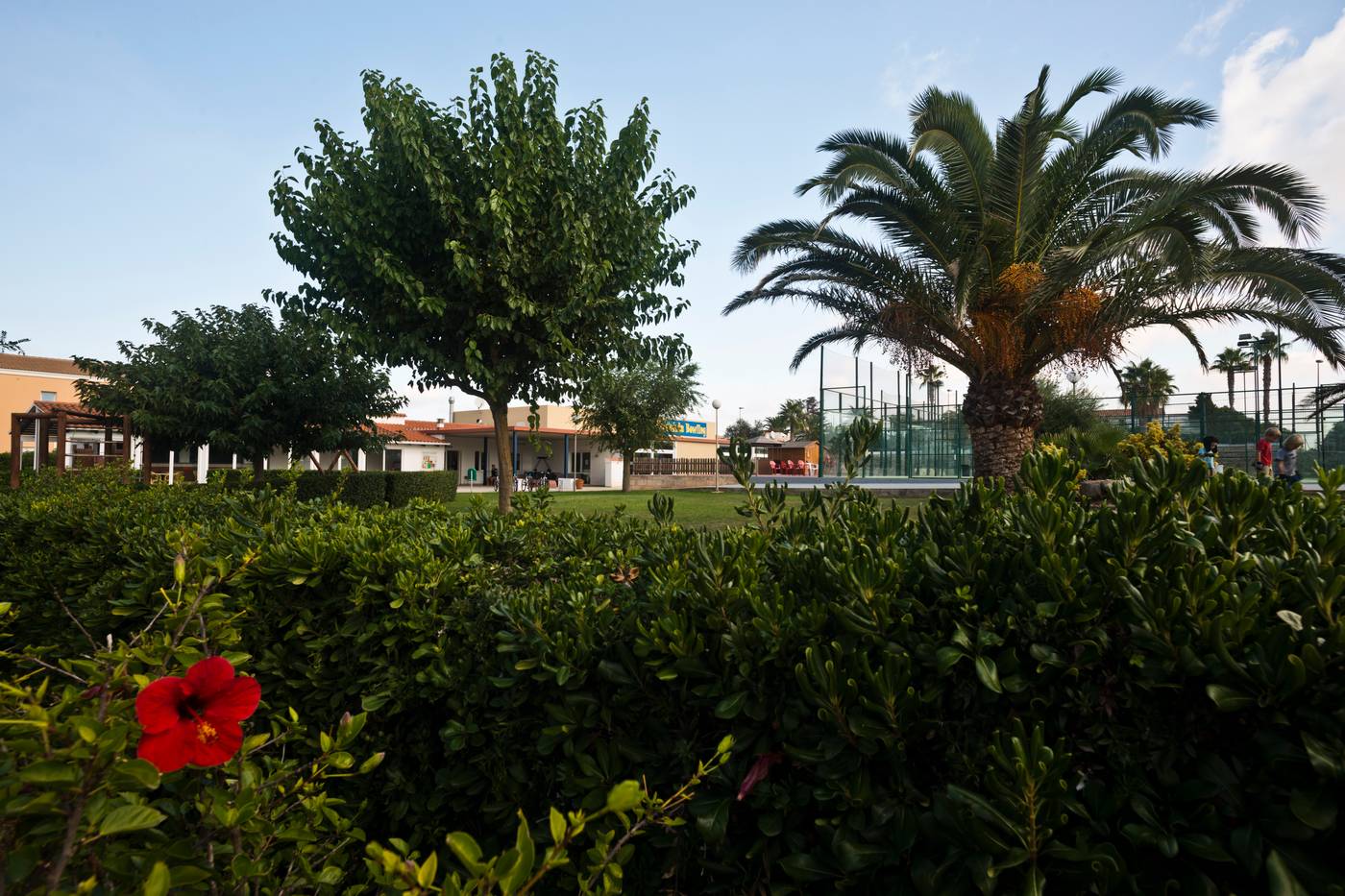 Sa-Caleta-General-view-14