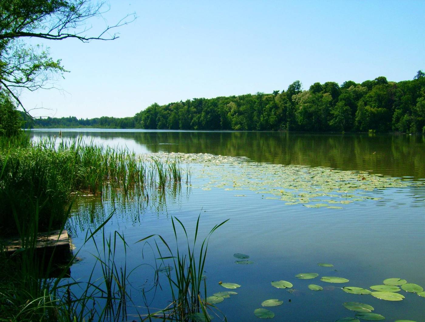 Landgut-Stober-General-view-12