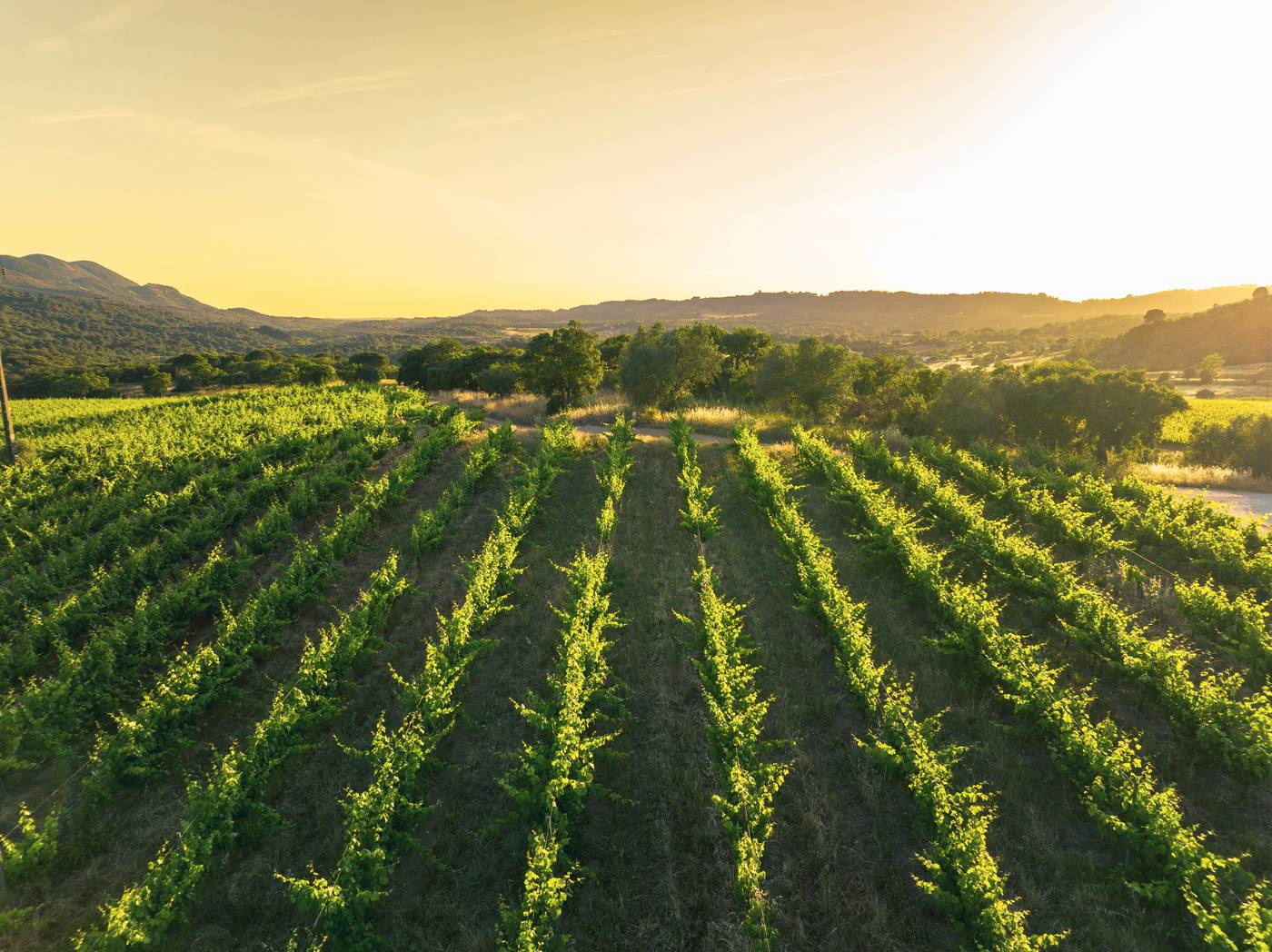 Casa-Palmela---Small-Luxury-Hotels---Villas-General-view-103