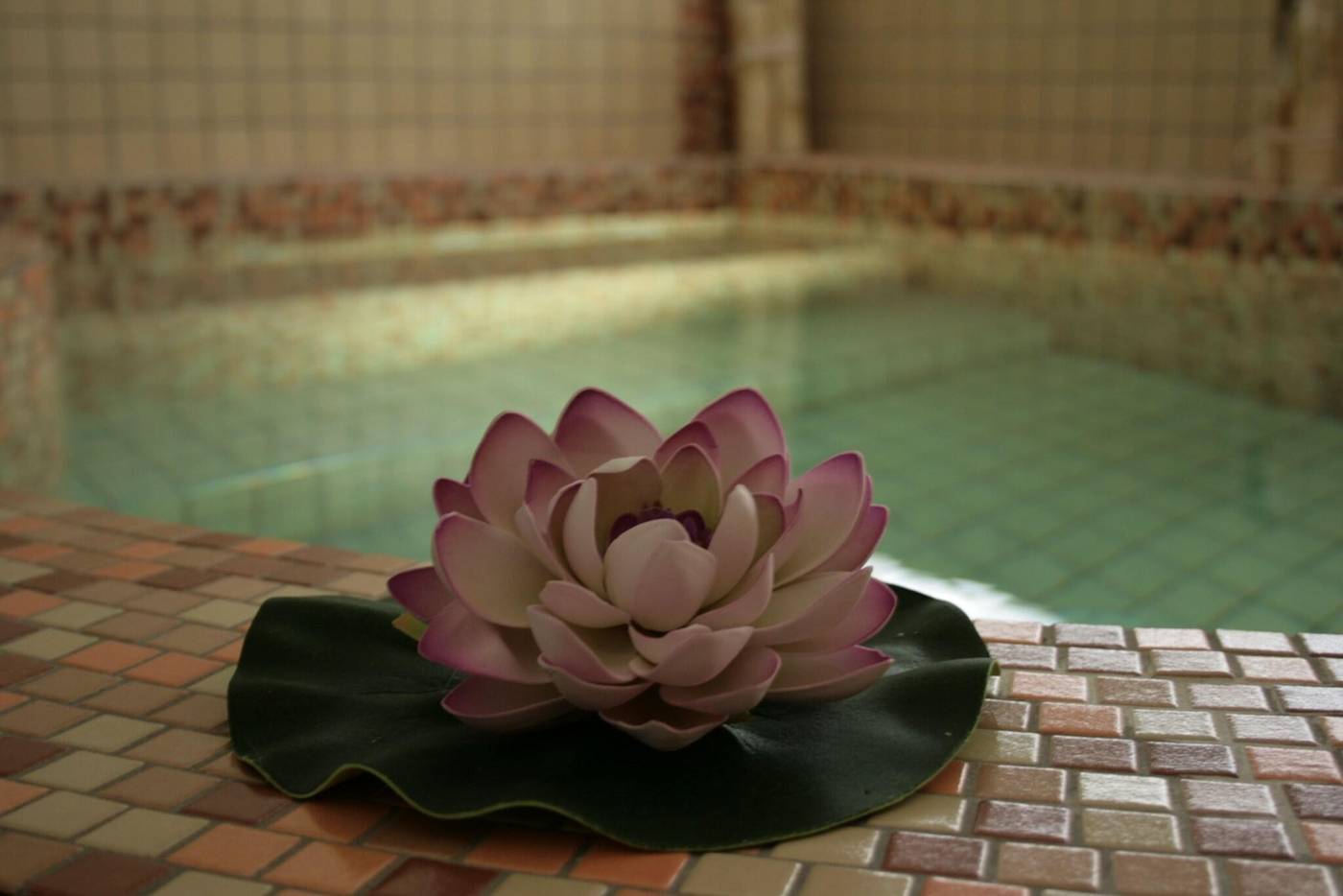 Don-Juan-Sports-and-Entertainment-10