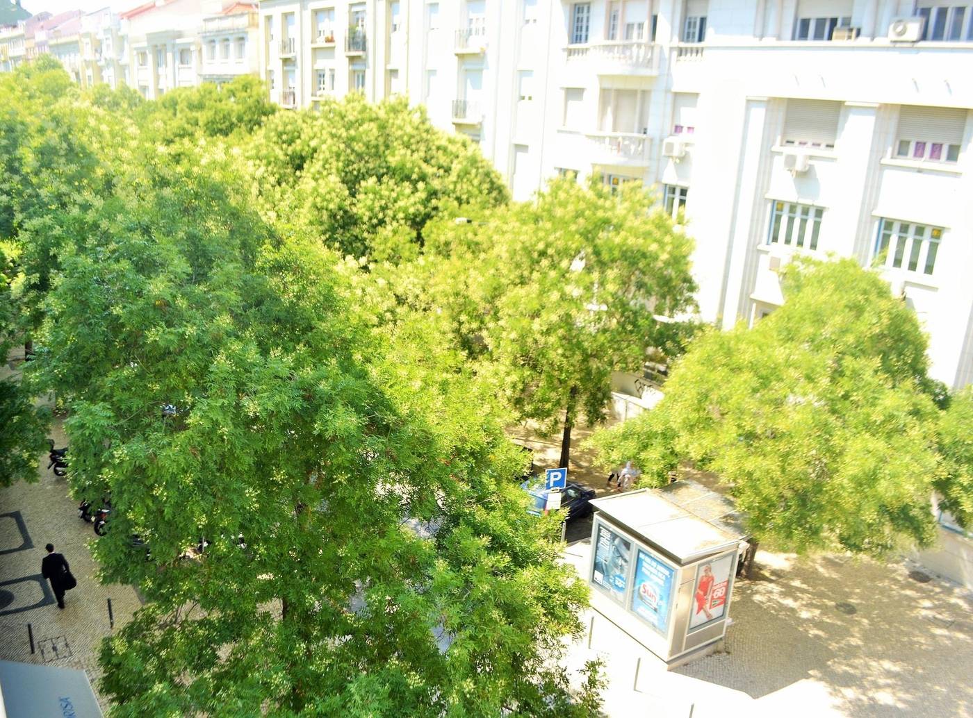 Feeling-Eduardo-Vii-General-view-6