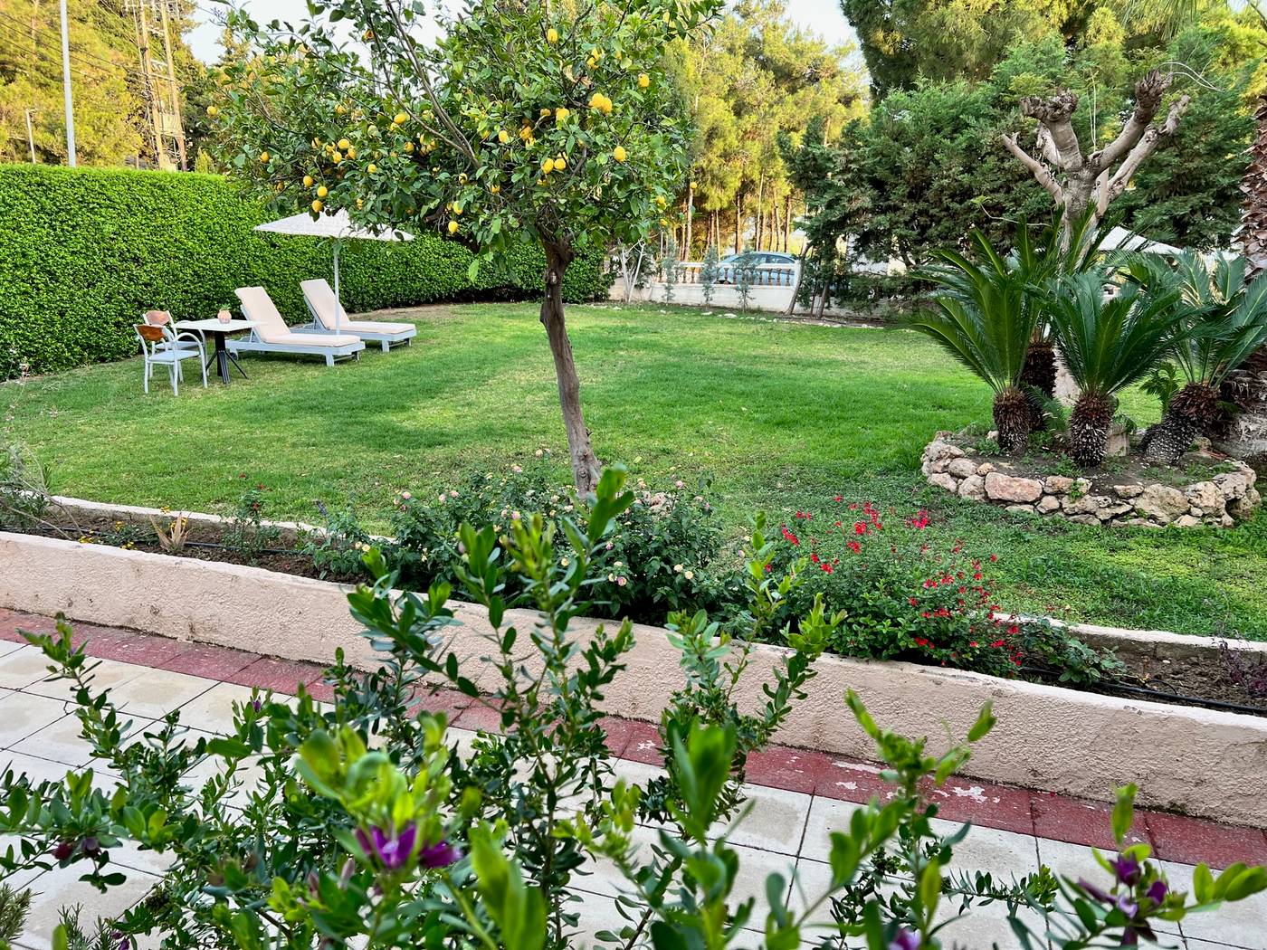 Golden-Days-Aparthotel-General-view-10