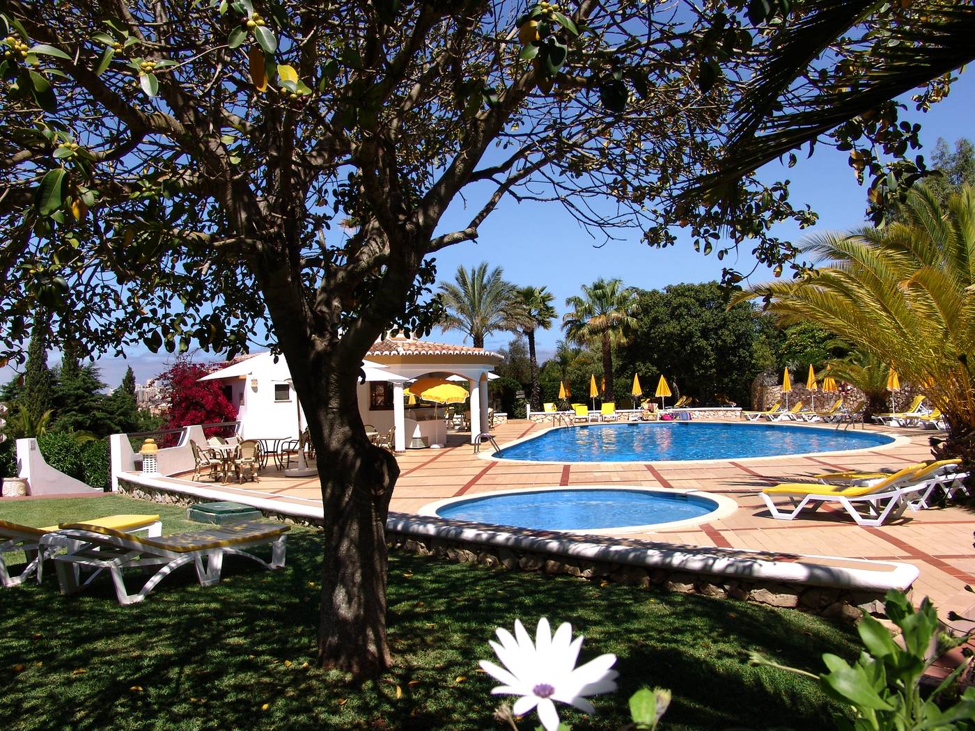 Casabela-Pool-2