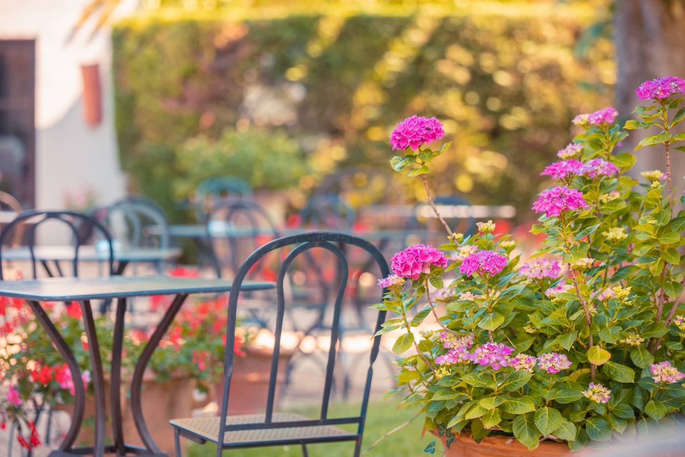 Hotel Le Donjon - Coeur de la Cite Medievale-France-Carcassonne-General view-2