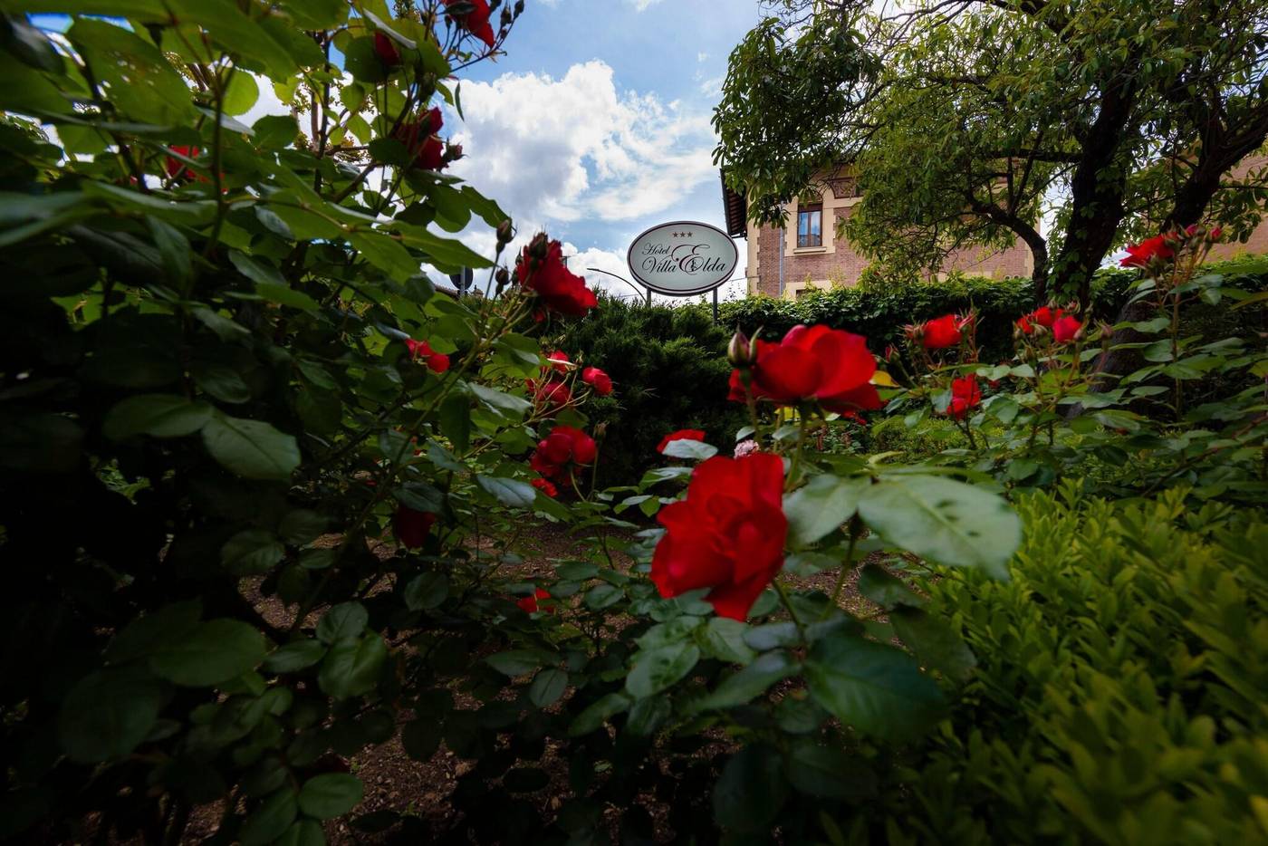 Villa-Elda-Boutique-Hotel-Terrace-53