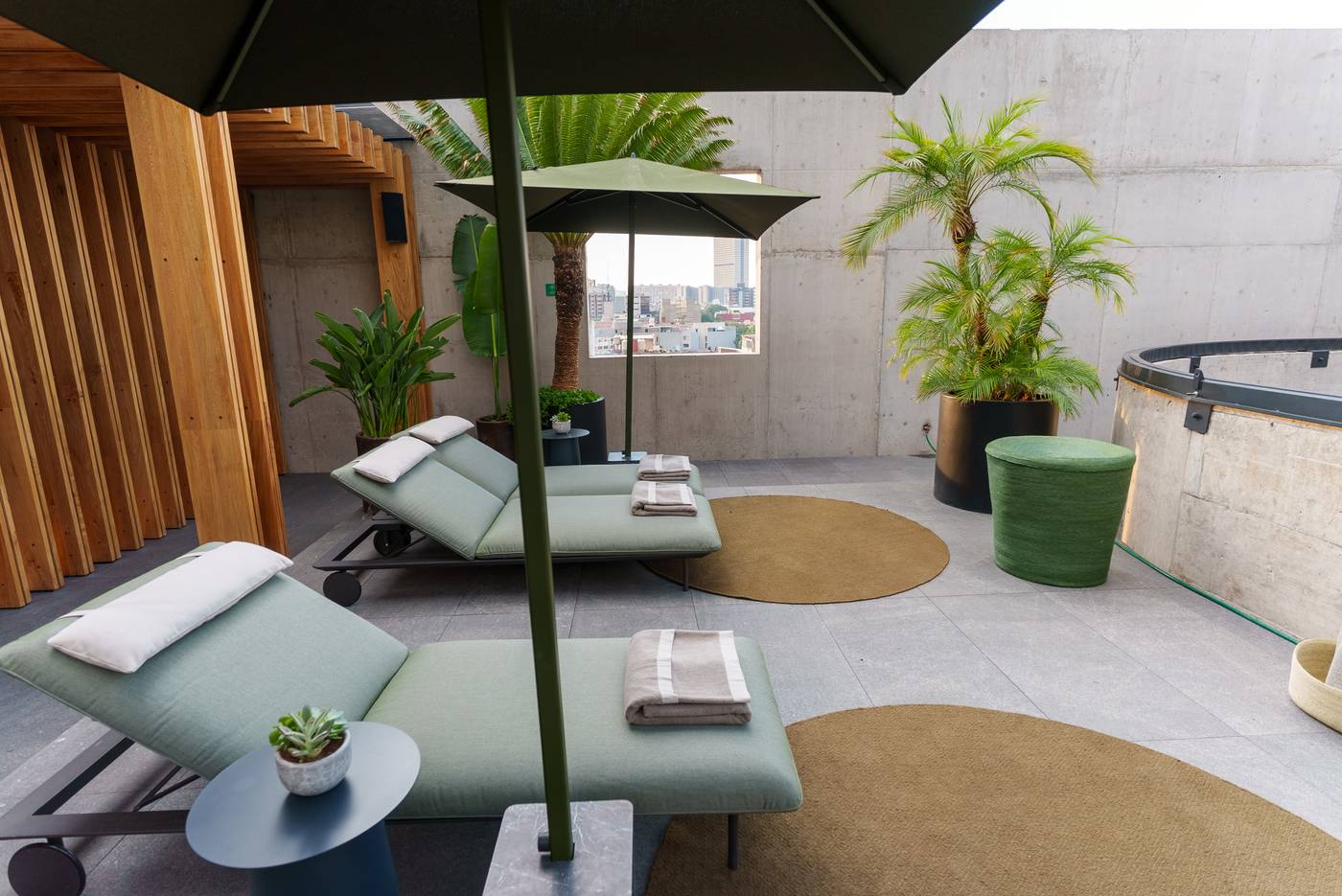 Hotel Volga-Mexico-Ciudad de México-General view-3