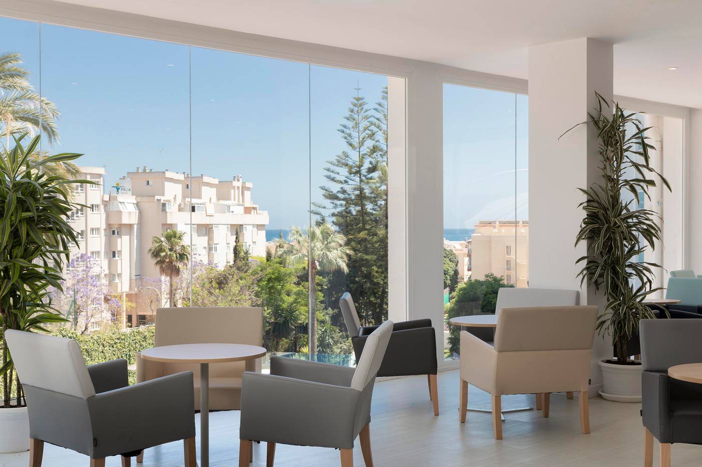 Hotel-Palia-Las-Palomas-Bar-47