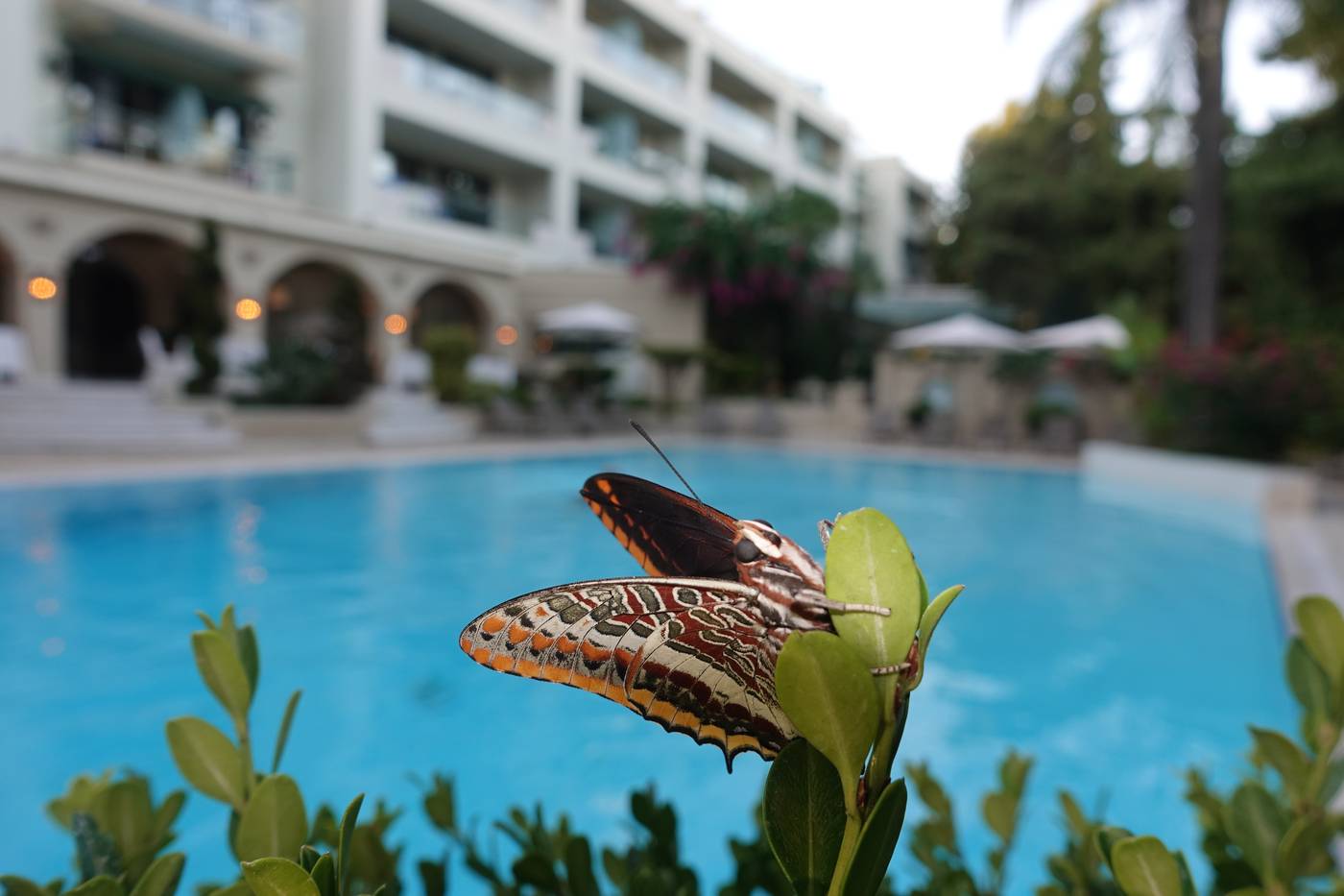 Rodos-Park-Hotel-Pool-14