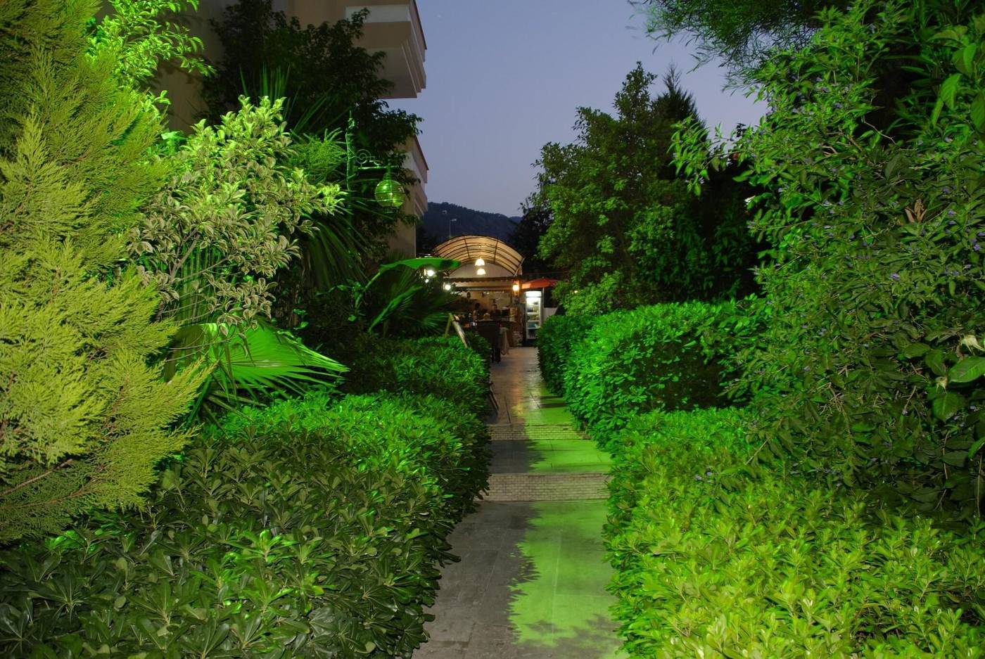 Navy-General-view-19