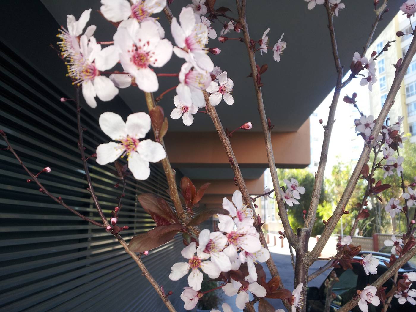 Tramontana-General-view-6