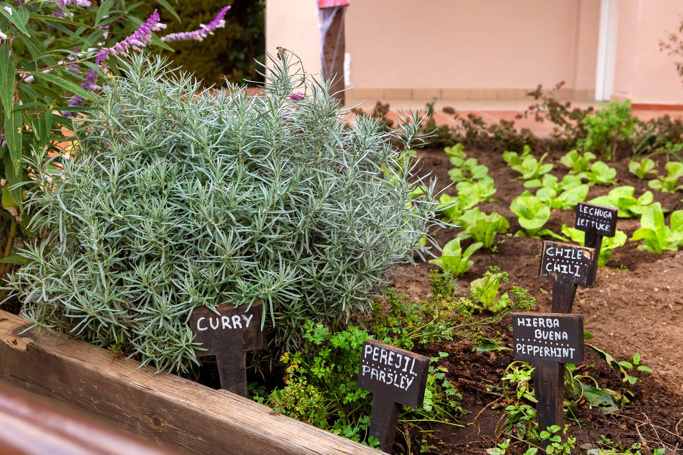 Los-Amigos-Beach-Club-General-view-13