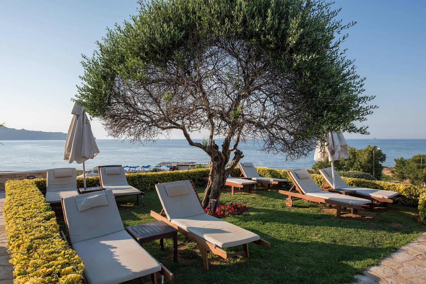 Cretan-Dream-Royal-Hotel-Pool-86