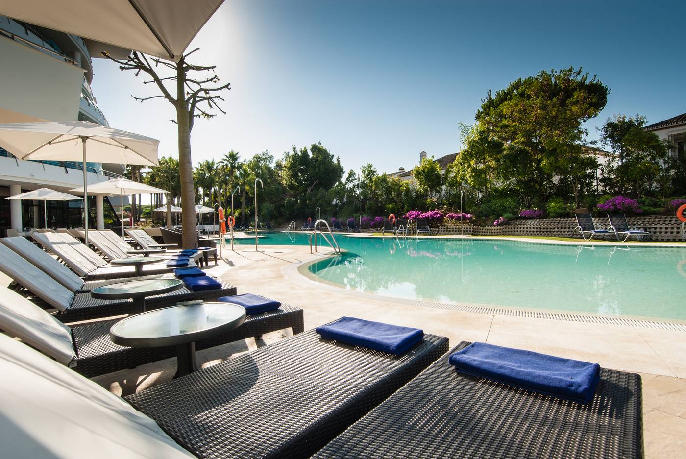 Senator-Banus---Adults-Recommended-Pool-10