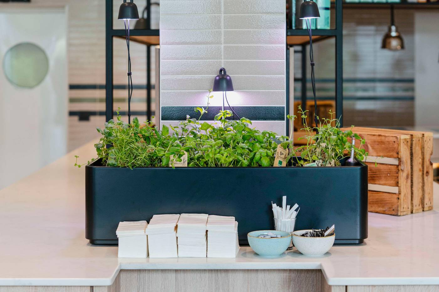 Hotel-Berlin--Berlin-Restaurant-30