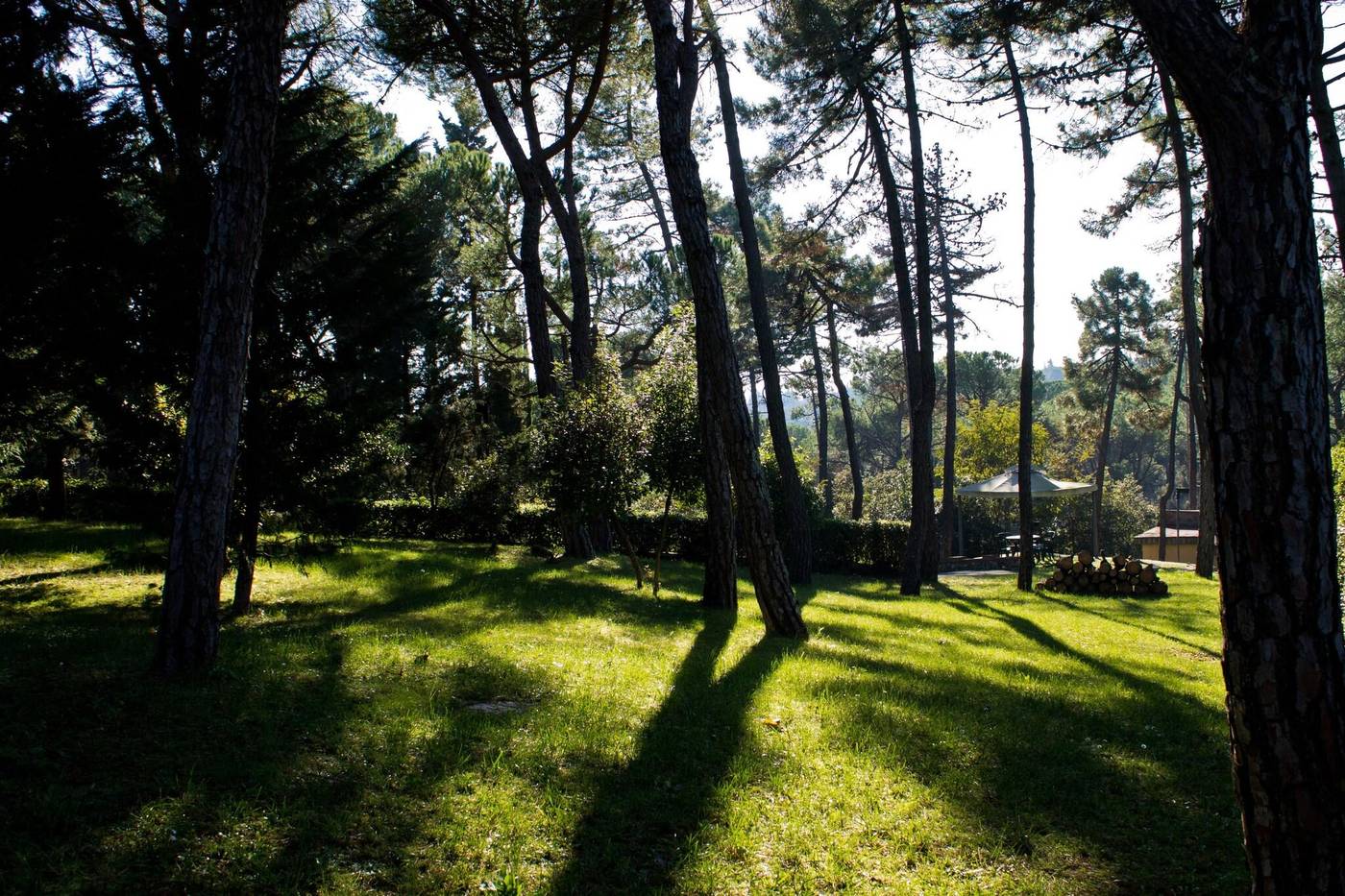 Villa-Cesi-Terrace-40