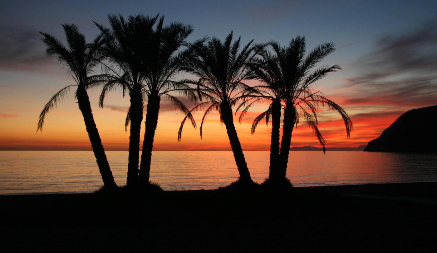 Sol-Los-Fenicios-Beach-33