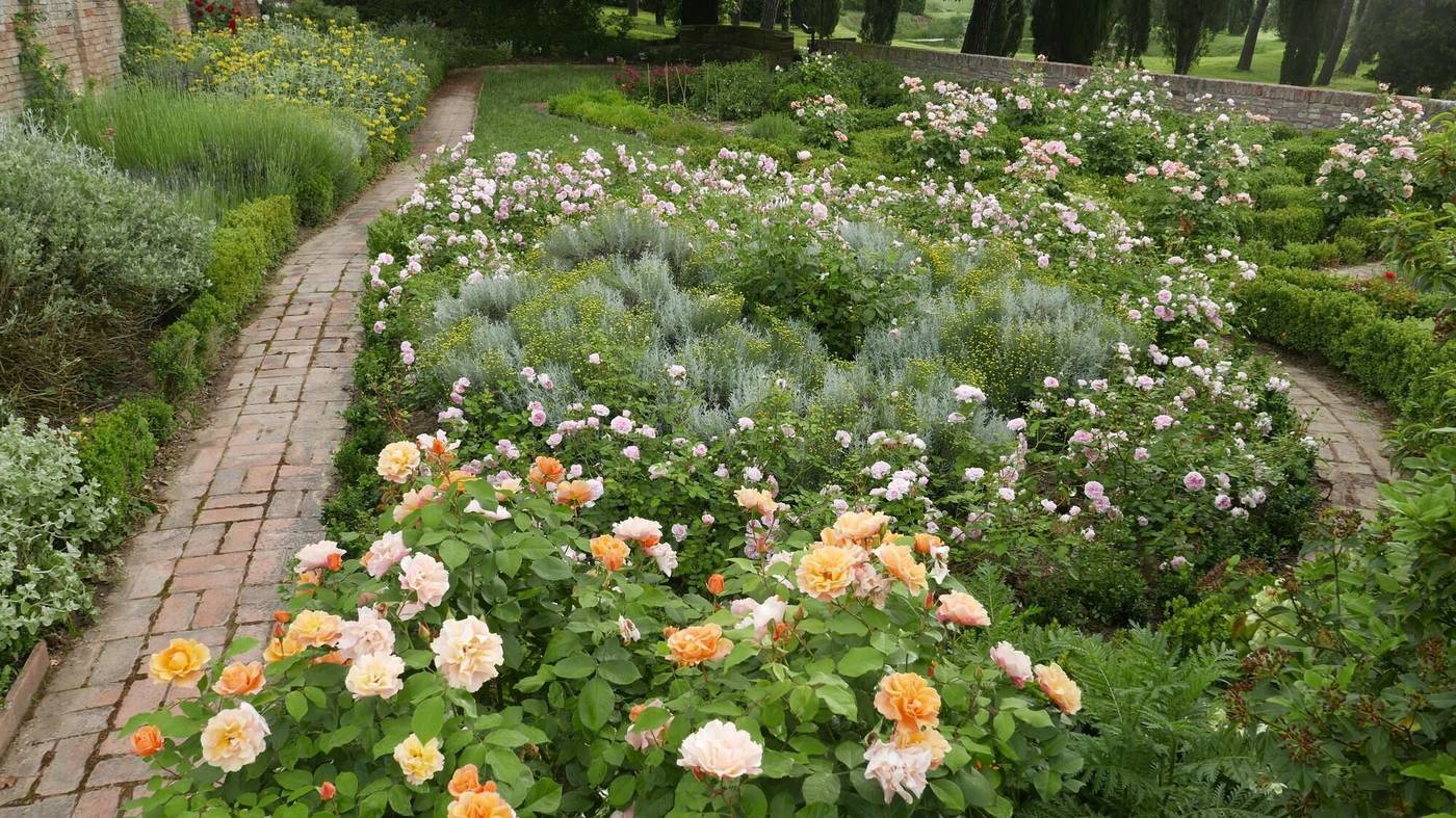 Cà Bianca-Italy-SIENA-General view-3