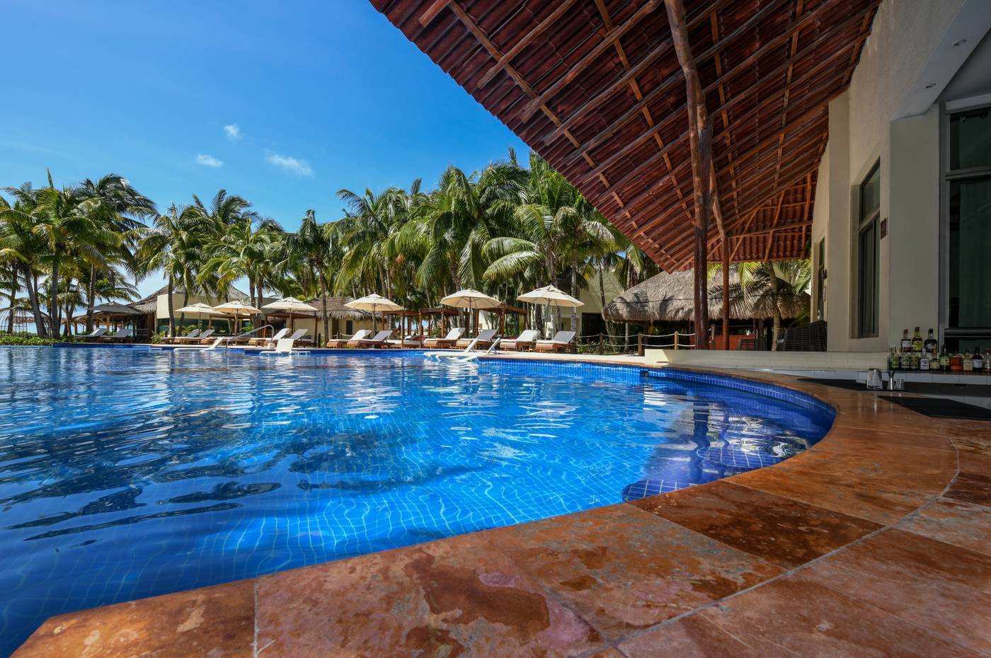 El Dorado Maroma 02.12