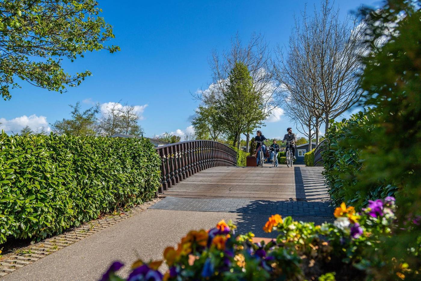 EuroParcs-Buitenhuizen-General-view-87