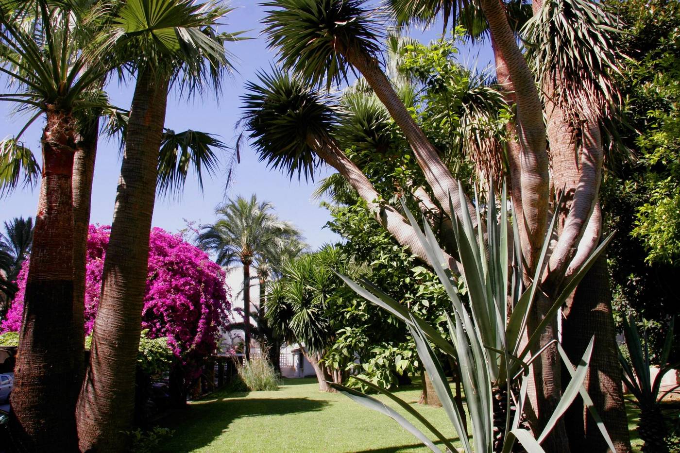 Bajondillo-Terrace-6