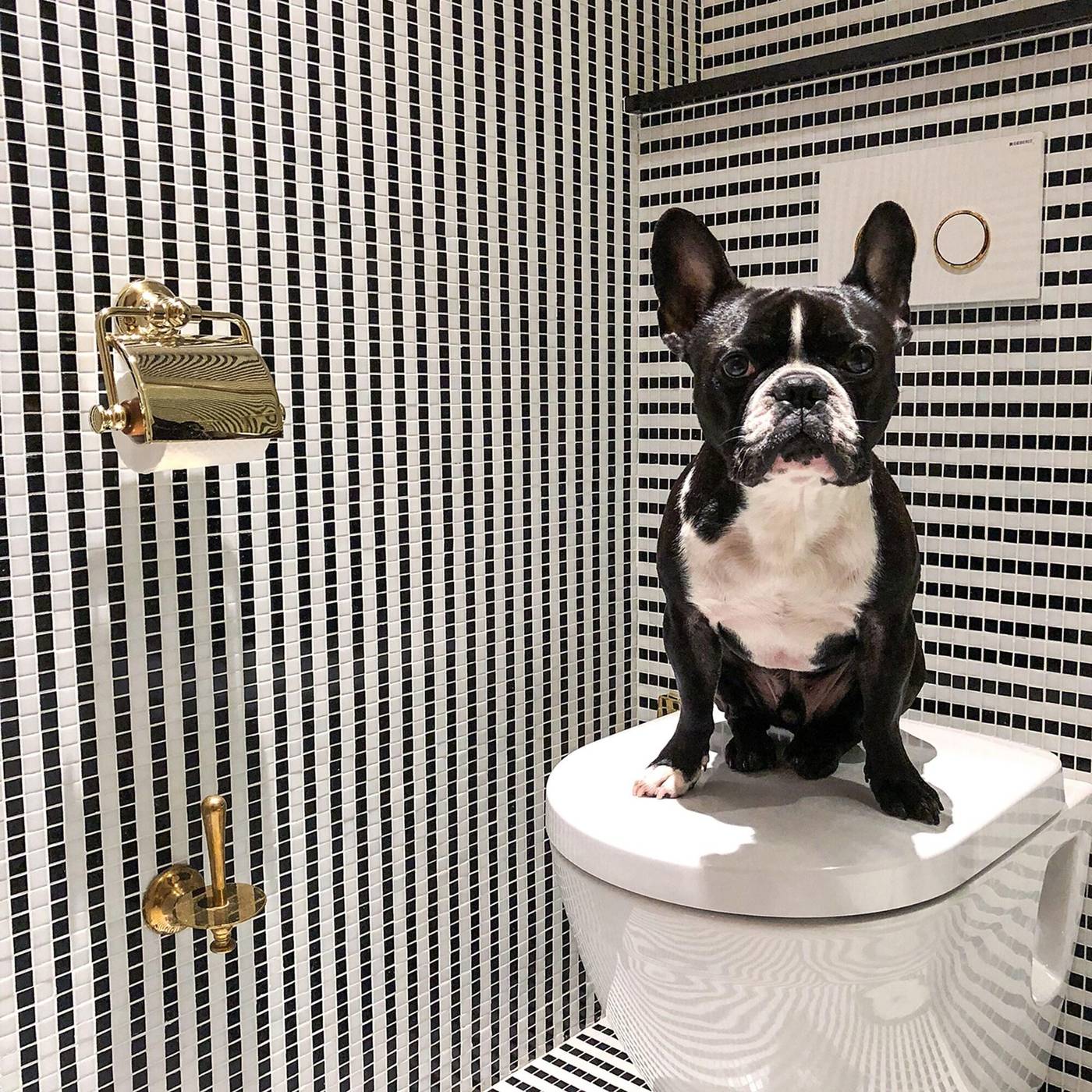 Vernet-General-view-38