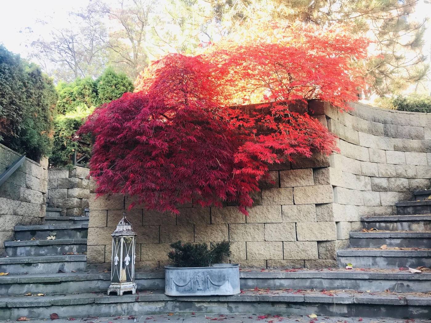 Hotel-Peko-General-view-35