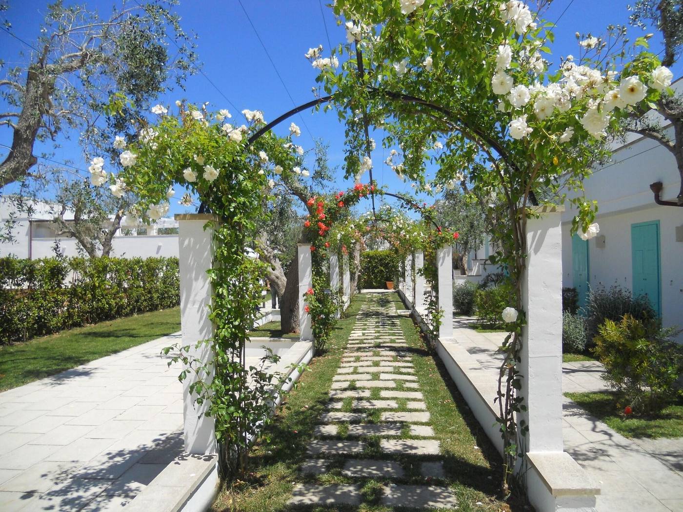 Tenuta Centoporte - Resort Hotel-Italy-GIURDIGNANO-General view-8