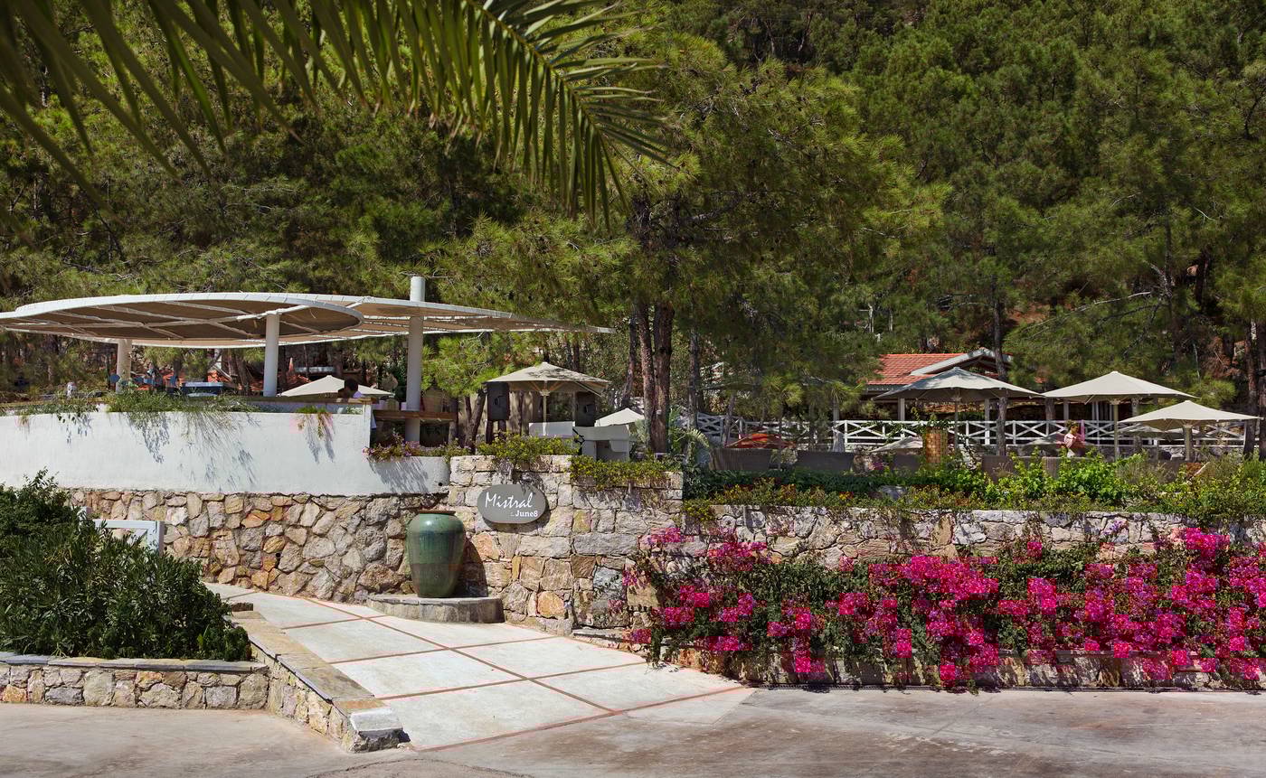 Marti-Hemithea-Restaurant-2