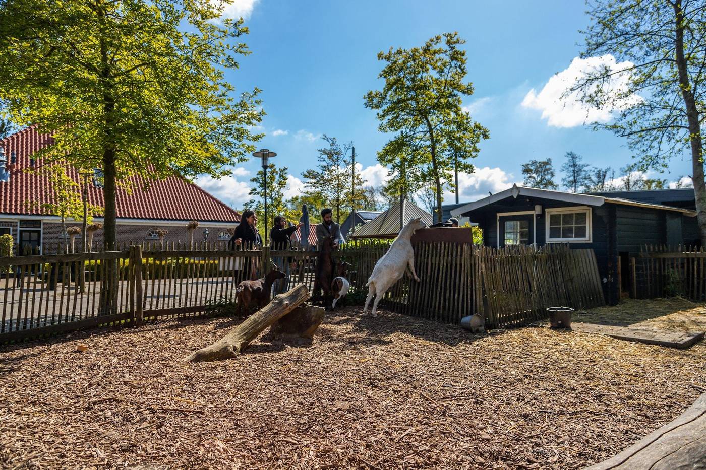 EuroParcs-Buitenhuizen-Sports-and-Entertainment-64