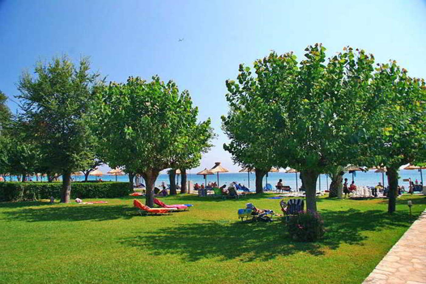Delfinia-General-view-40