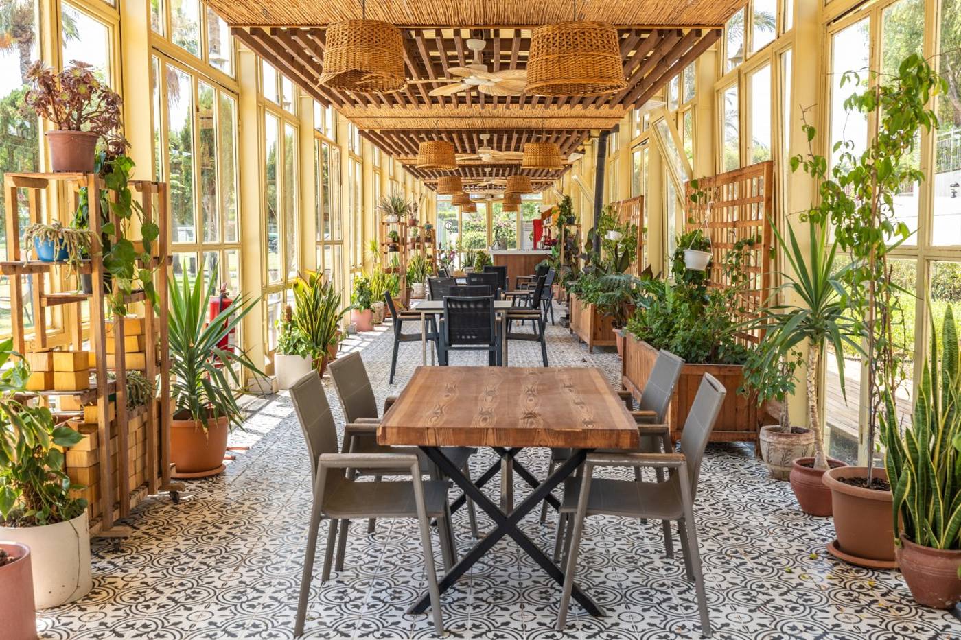 Nirvana Cosmopolitan