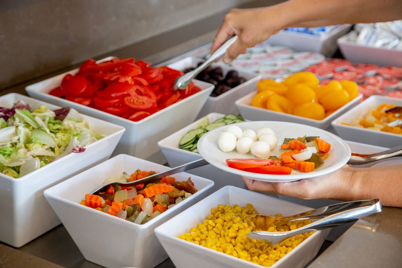 Gioberti-General-view-39