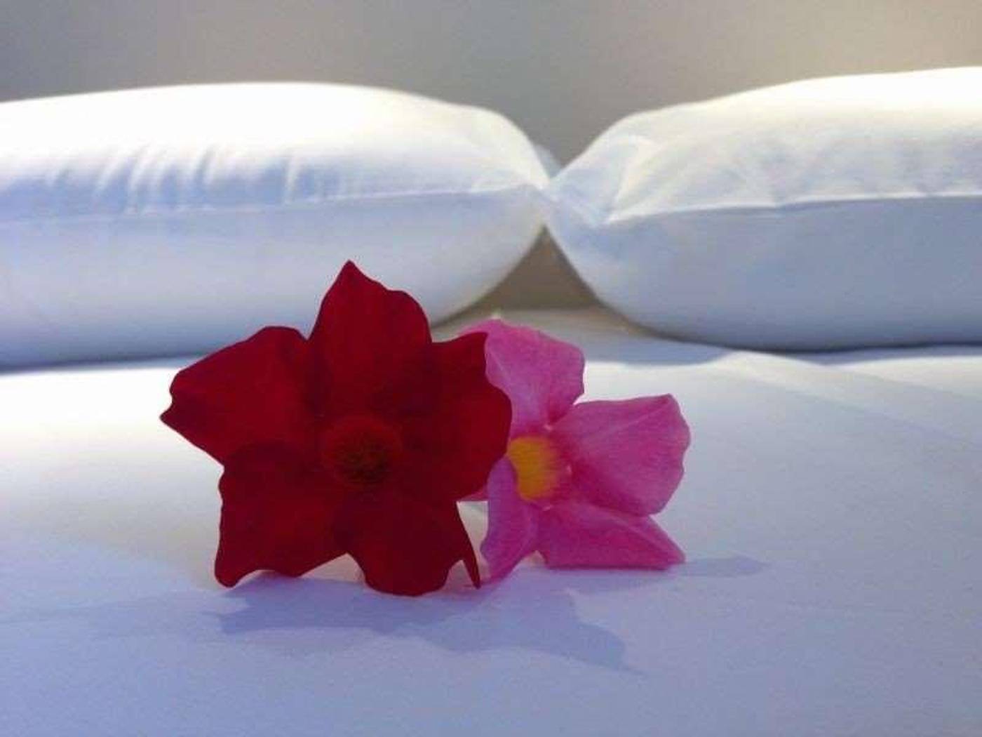 Grand de la Poste-France-SAINT-JEAN-DE-LUZ -Room-7