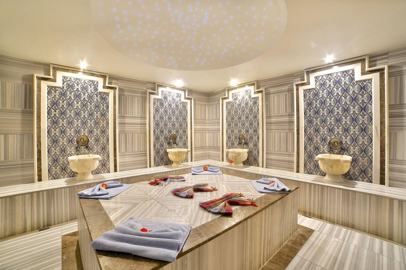 Lion-Sports-and-Entertainment-48