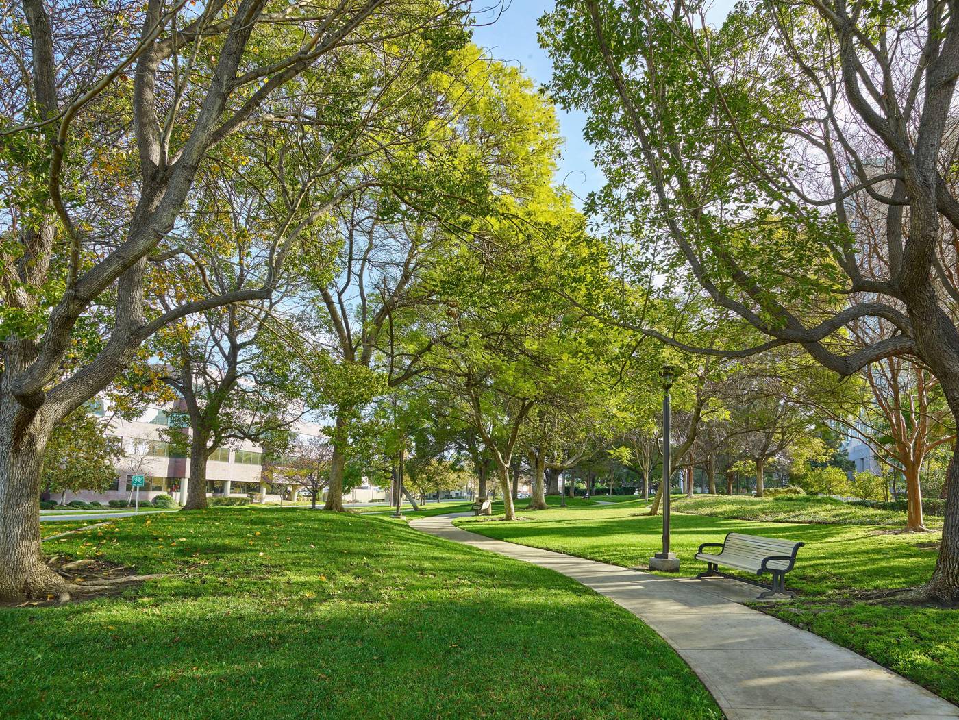 Hilton-Los-Angeles-North-Glendale---Executive-General-view-11