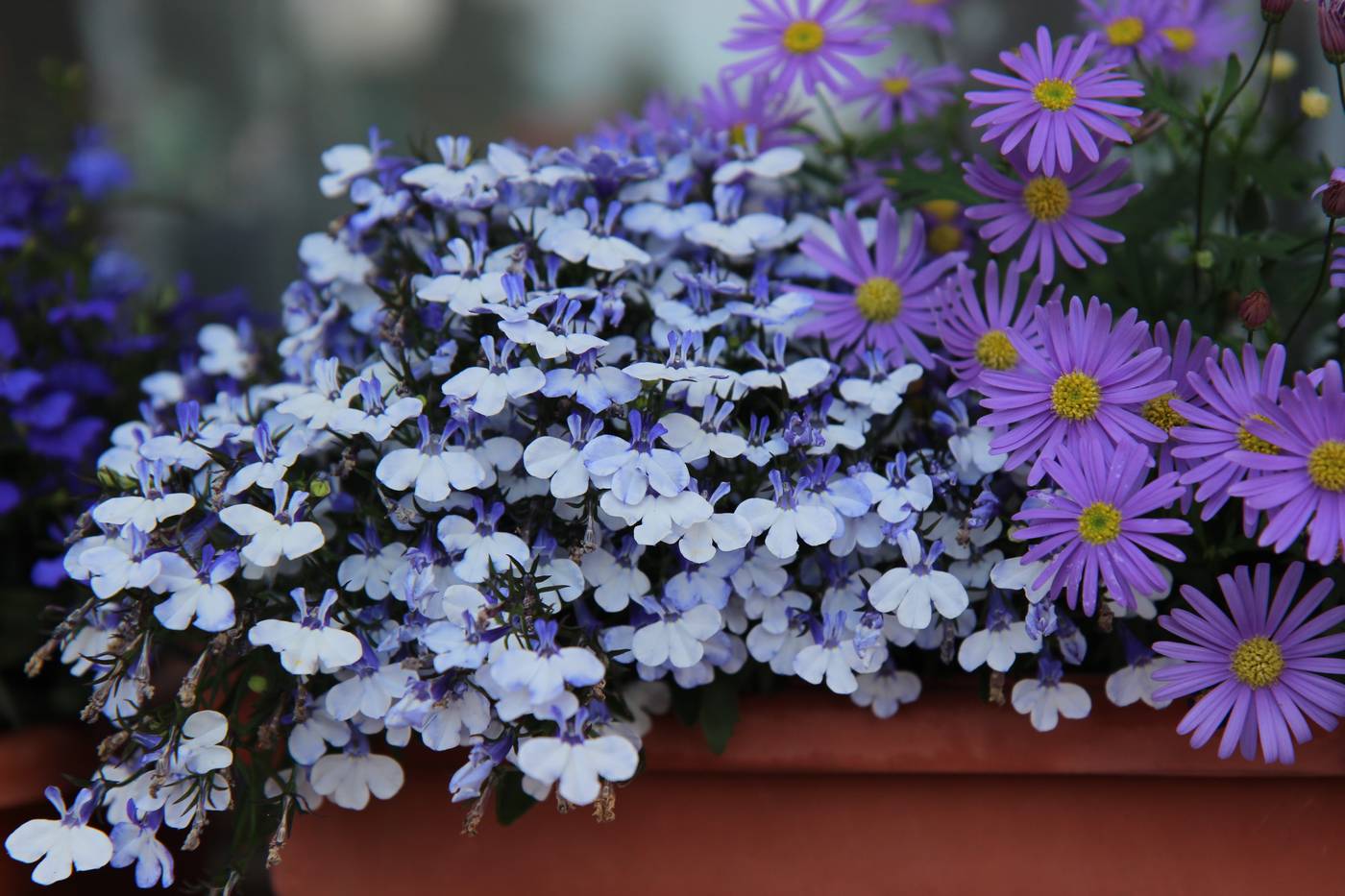 Hotel-Zora-Terrace-37