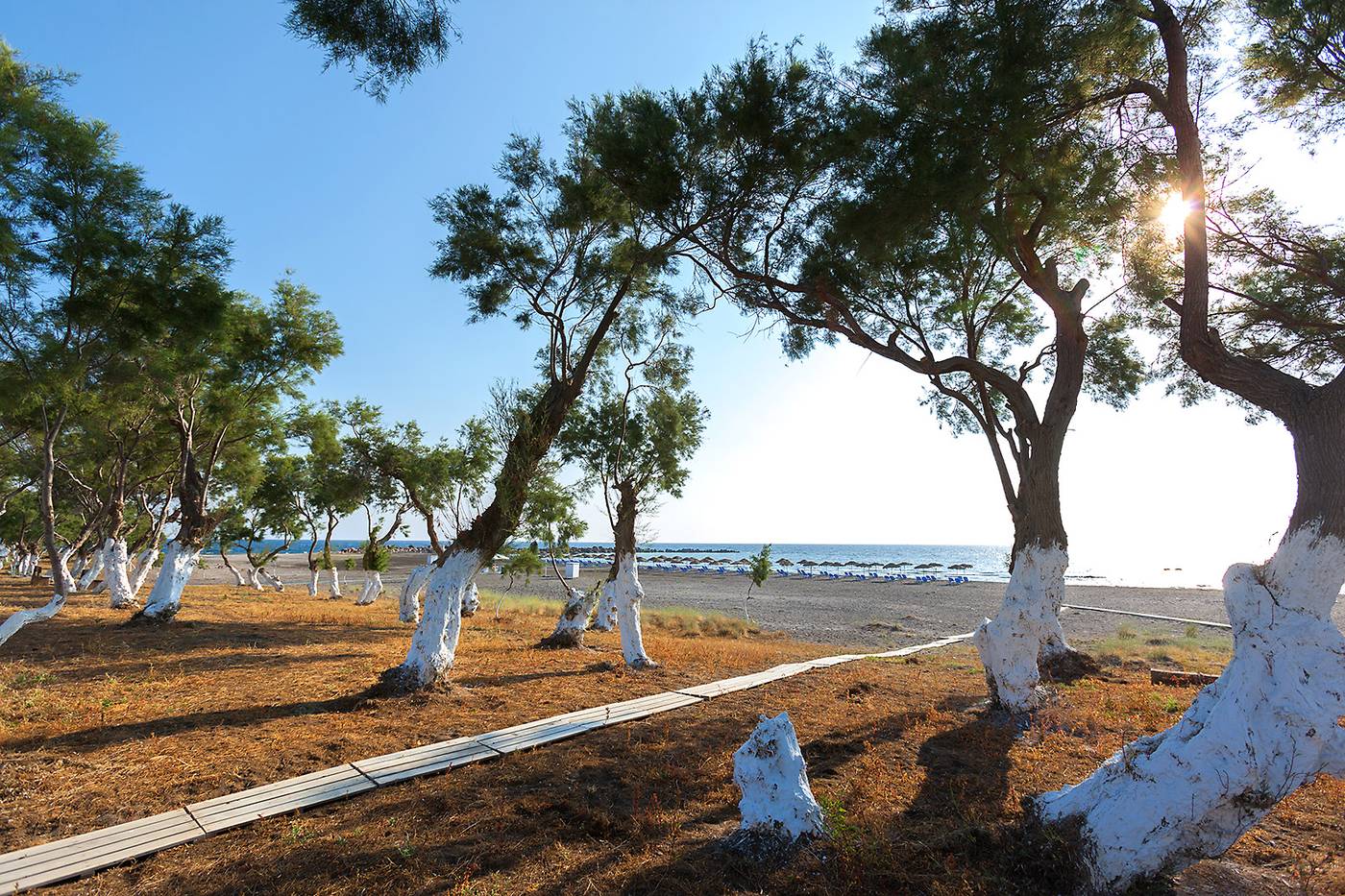 Memories-Beach-Beach-42