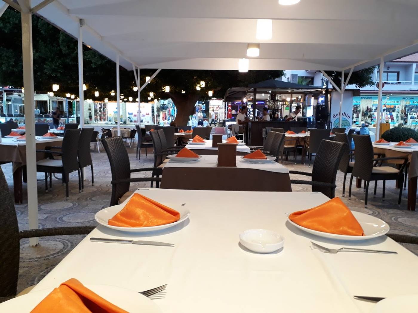 Dolphin-Apart-Lobby-11