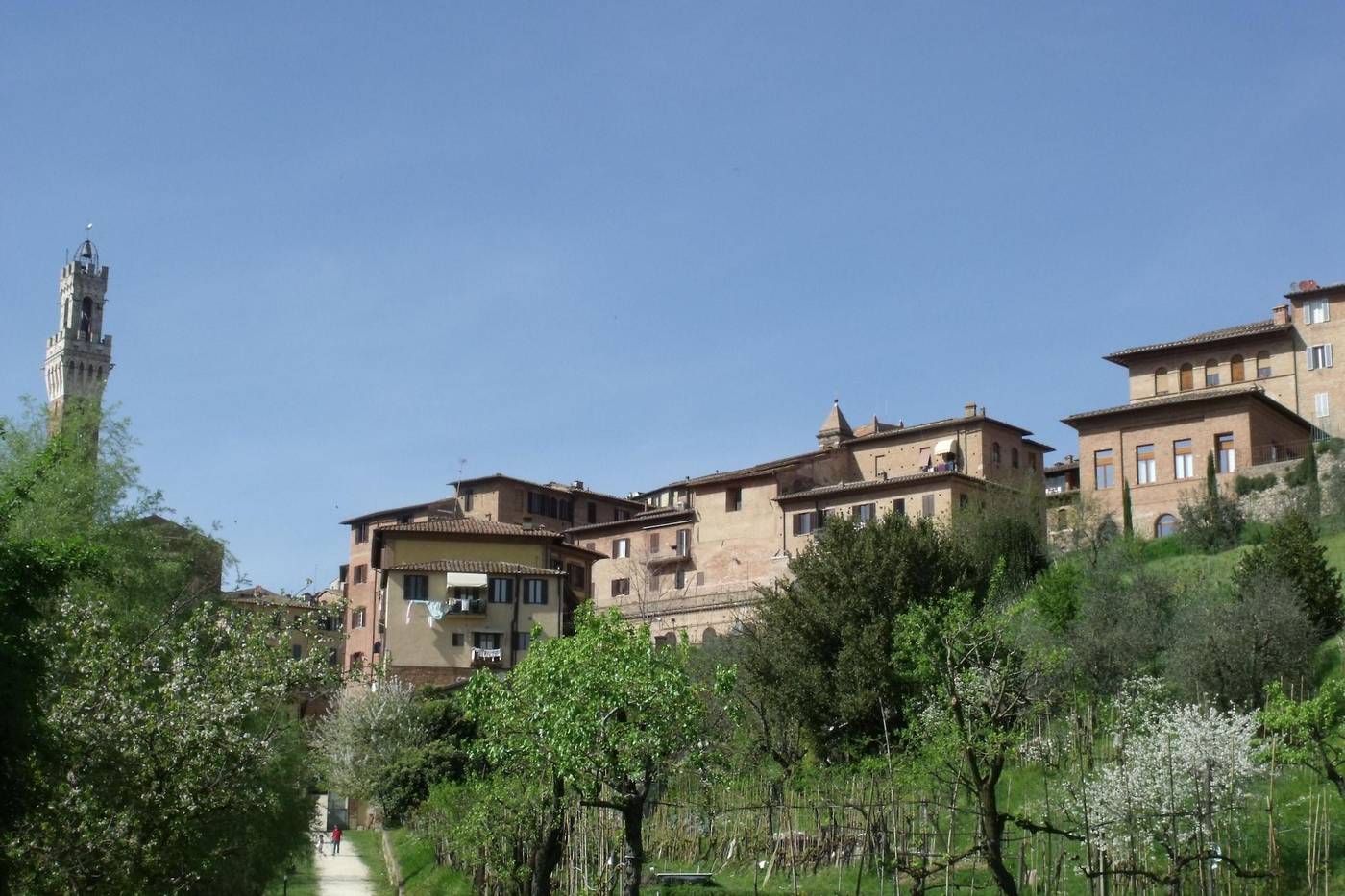 Villa-Del-Sole-General-view-65